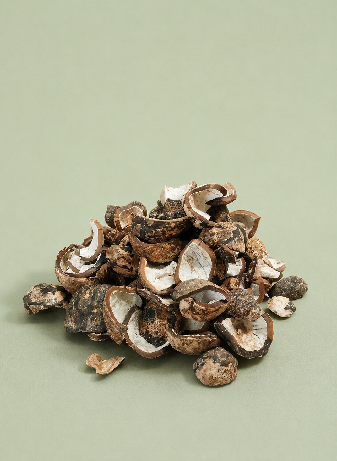 Palm Kernel Shells